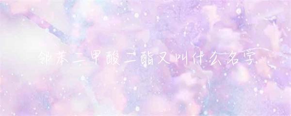 邻苯二甲酸二酯又叫什么名字